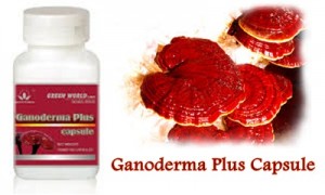 Ganoderma-Plus-1